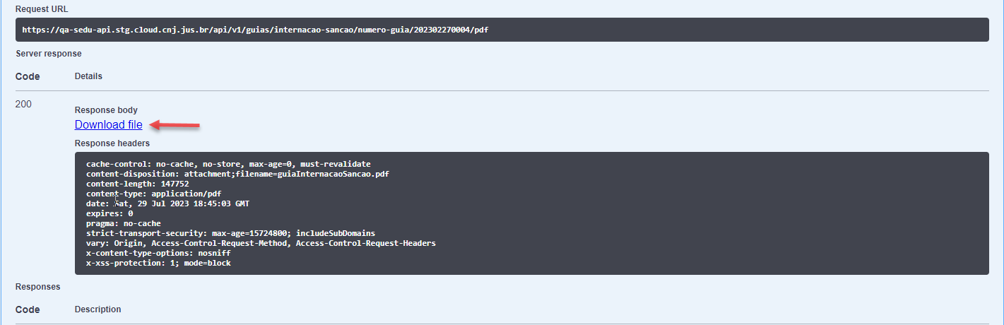 Model Guia Internacao Sancao