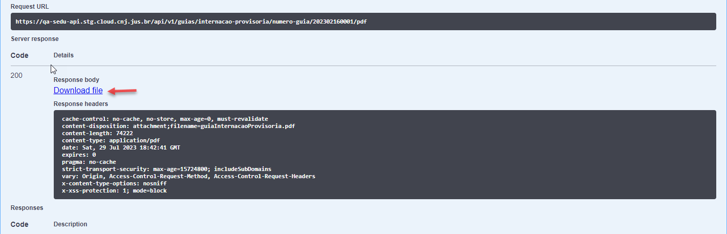 Model Guia Internacao Provisoria